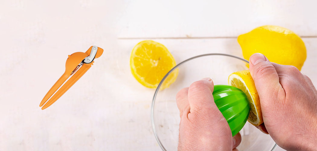 Best Manual Citrus Juicer 10 Buying Guide [2024]